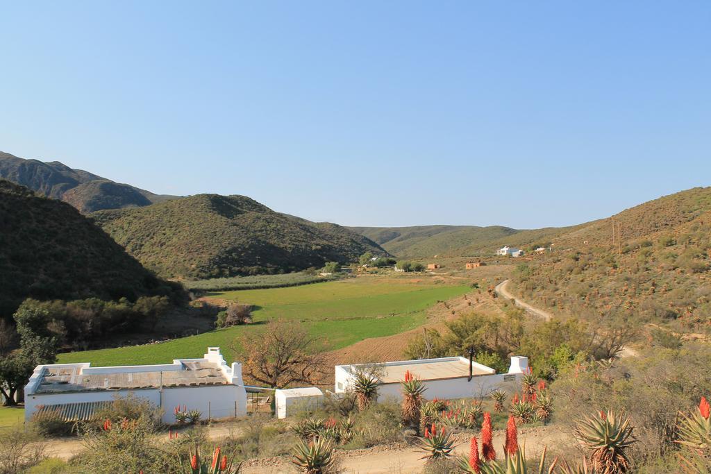 Вілла Matjiesvlei Guestfarm Калітцдорп Екстер'єр фото